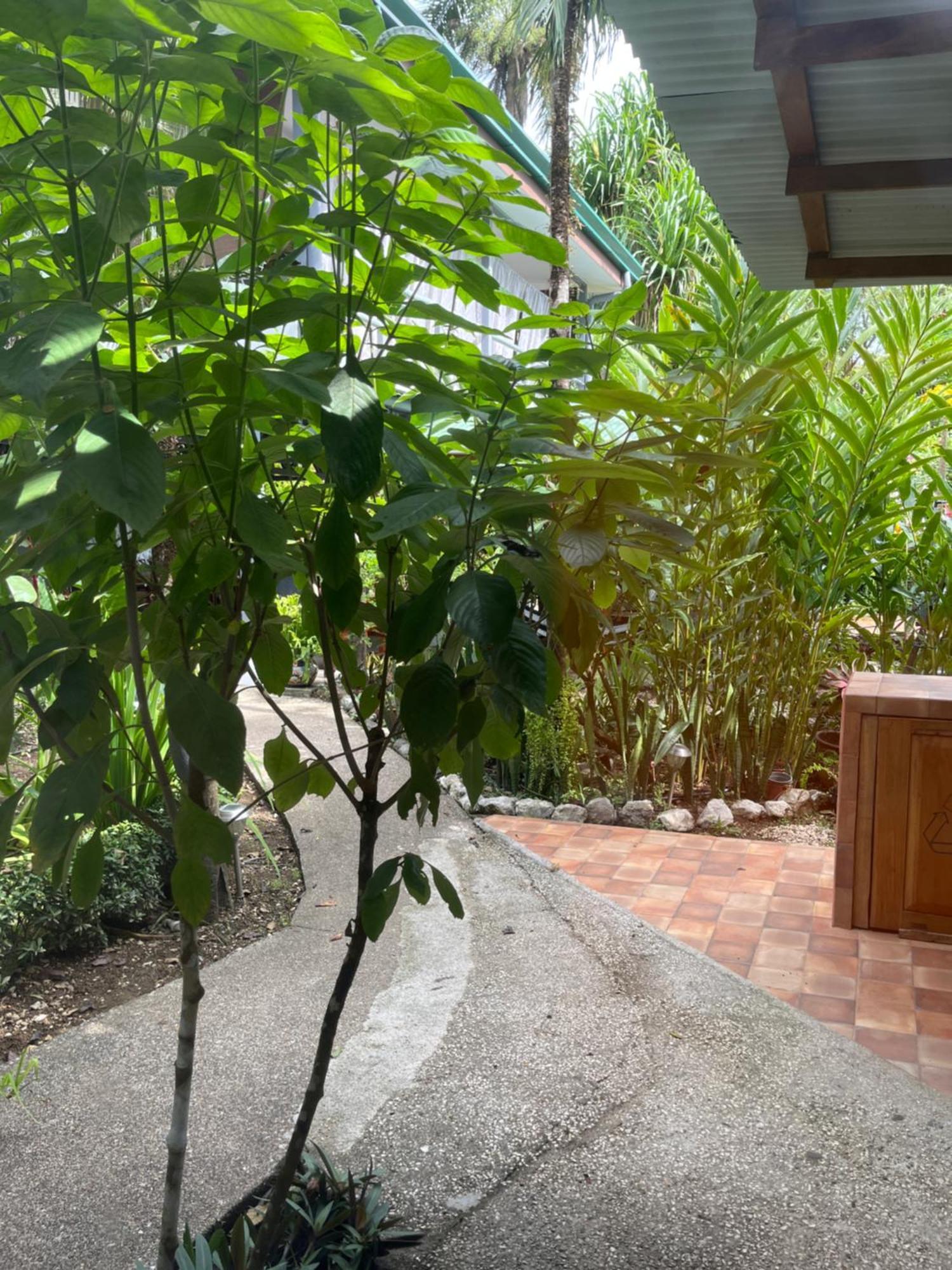 Hotel Entre Dos Aguas Samara Luaran gambar